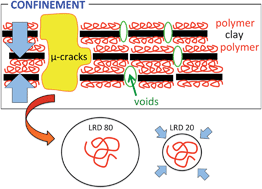 Graphical abstract: Polymers in 2-D confinement