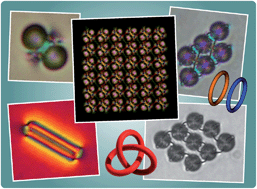 Graphical abstract: Topology of nematic liquid crystal colloids confined to two dimensions