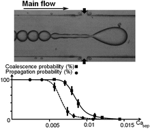 Graphical abstract: A study of extensional flow induced coalescence in microfluidic geometries with lateral channels