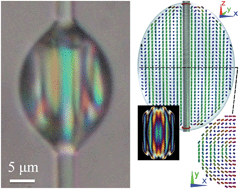 Graphical abstract: Liquid crystal necklaces: cholesteric drops threaded by thin cellulose fibres