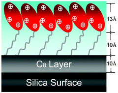 Graphical abstract: Interfacial assembly of lipopeptide surfactants on octyltrimethoxysilane-modified silica surface