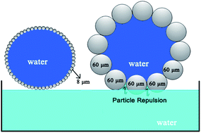 Graphical abstract: The lifetime of floating liquid marbles: the influence of particle size and effective surface tension