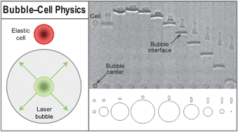 Graphical abstract: Resonant stretching of cells and other elastic objects from transient cavitation