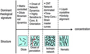 Graphical abstract: Rheology of polymer carbon nanotubes composites