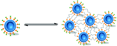 Graphical abstract: Dynamic reactions of liposomes