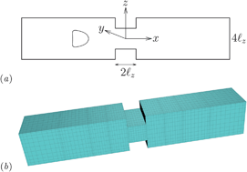 Graphical abstract: Transient dynamics of an elastic capsule in a microfluidic constriction