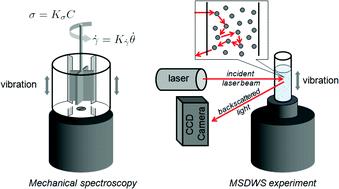 Graphical abstract: Dynamics of vibrated granular suspensions probed by mechanical spectroscopy and diffusing wave spectroscopy measurements