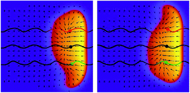 Graphical abstract: Modeling crawling cell movement on soft engineered substrates