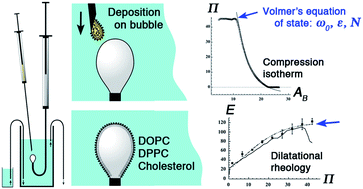 Graphical abstract: A study of insoluble monolayers by deposition at a bubble interface