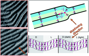 Graphical abstract: Spiral layer undulation defects in B7 liquid crystals