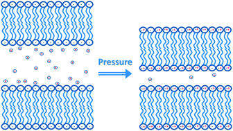 Graphical abstract: Charged membranes under confinement induced by polymer-, salt-, or ionic liquid solutions