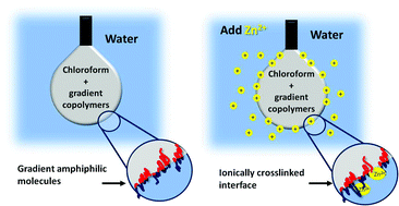 Graphical abstract: Formation and mechanical characterization of ionically crosslinked membranes at oil–water interfaces