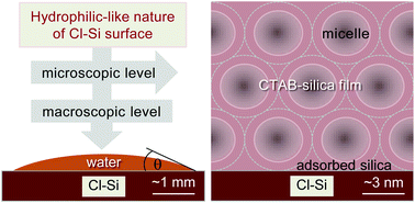 Graphical abstract: The hydrophilic/hydrophobic nature of a Cl-terminated Si surface