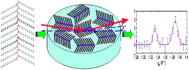 Graphical abstract: The structure of Langmuir films of long diols on mercury
