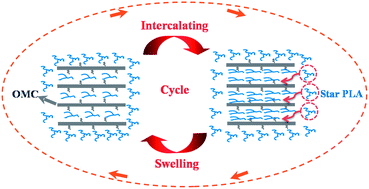 Graphical abstract: Insight on the striking influence of the chain architecture on promoting the exfoliation of clay in a polylactide matrix during the annealing process