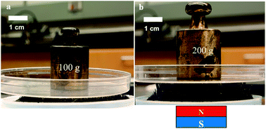 Graphical abstract: Magnetorheological brush – a soft structure with highly tuneable stiffness