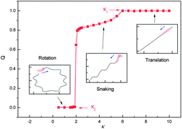 Graphical abstract: Motion transition of active filaments: rotation without hydrodynamic interactions