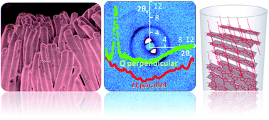 Graphical abstract: Poly(3-hexylthiophene) nanowires in porous alumina: internal structure under confinement