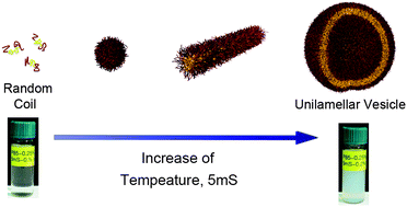 Graphical abstract: Spontaneous unilamellar polymer vesicles in aqueous solution