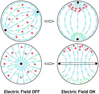 Graphical abstract: Influence of surface anchoring conditions on the dielectric and electro-optical properties of nematic droplets dispersed in a polymer network