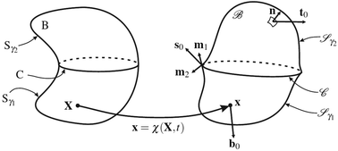 Graphical abstract: Modeling of elasto-capillary phenomena