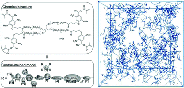 Graphical abstract: A computer simulation of the networked structure of a hydrogel prepared from a tetra-armed star pre-polymer