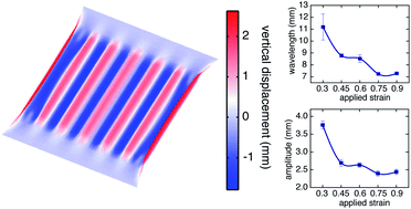 Graphical abstract: Buckling dynamics of a solvent-stimulated stretched elastomeric sheet