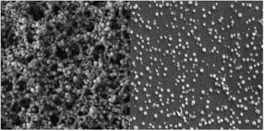 Graphical abstract: Modified nanoprecipitation method for polysulfone nanoparticles preparation