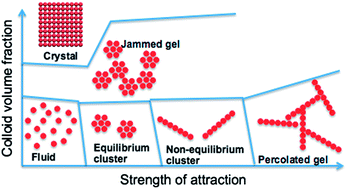Graphical abstract: Equilibrium and non-equilibrium cluster phases in colloids with competing interactions