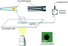 Graphical abstract: Capillary micromechanics for core–shell particles