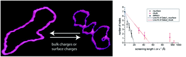 Graphical abstract: Surface charge effects on the 2D conformation of supercoiled DNA