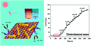 Graphical abstract: CdS nanorods/reduced graphene oxide nanocomposites for photocatalysis and electrochemical sensing