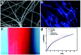 Graphical abstract: Construction of high strength hollow fibers by self-assembly of a stiff polysaccharide with short branches in water
