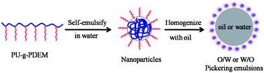 Graphical abstract: Polyurethane-based nanoparticles as stabilizers for oil-in-water or water-in-oil Pickering emulsions