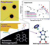 Graphical abstract: Embedding dopamine nanoaggregates into a poly(dimethylsiloxane) membrane to confer controlled interactions and free volume for enhanced separation performance