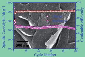 Graphical abstract: CO2–expanded ethanol chemical synthesis of a Fe3O4@graphene composite and its good electrochemical properties as anode material for Li-ion batteries