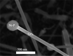 Graphical abstract: Phosphorus stimulated unidirectional growth of TiO2 nanostructures