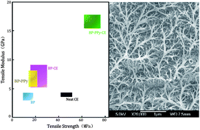 Graphical abstract: High-strength carbon nanotube buckypaper composites as applied to free-standing electrodes for supercapacitors