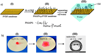 Graphical abstract: A novel zwitterionic polyelectrolyte grafted PVDF membrane for thoroughly separating oil from water with ultrahigh efficiency