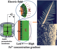 Graphical abstract: Electric field-induced synthesis of dendritic nanostructured α-Fe for electromagnetic absorption application