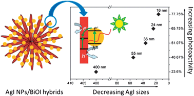 Graphical abstract: Tailoring AgI nanoparticles for the assembly of AgI/BiOI hierarchical hybrids with size-dependent photocatalytic activities