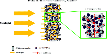 Graphical abstract: High surface area electrospun prickle-like hierarchical anatase TiO2 nanofibers for dye-sensitized solar cell photoanodes