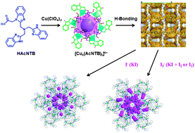 Graphical abstract: Accumulation of versatile iodine species by a porous hydrogen-bonding Cu(ii) coordination framework