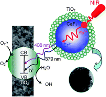 Graphical abstract: Near-infrared photocatalyst of Er3+/Yb3+ codoped (CaF2@TiO2) nanoparticles with active-core/active-shell structure