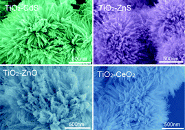 Graphical abstract: Microwave-assisted deposition of metal sulfide/oxide nanocrystals onto a 3D hierarchical flower-like TiO2 nanostructure with improved photocatalytic activity