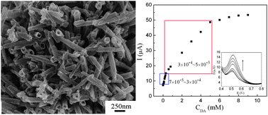 Graphical abstract: Self-degradable template synthesis of polyaniline nanotubes and their high performance in the detection of dopamine
