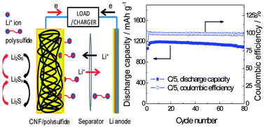 Graphical abstract: Highly reversible Li/dissolved polysulfide batteries with binder-free carbon nanofiber electrodes