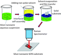 Graphical abstract: Direct two-phase interfacial self-assembly of aligned silver nanowire films for surface enhanced Raman scattering applications