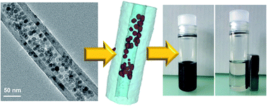 Graphical abstract: Carbon nanotube channels selectively filled with monodispersed Fe3−xO4 nanoparticles