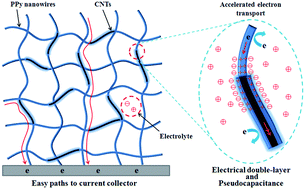 Graphical abstract: Carbon nanotube reinforced polypyrrole nanowire network as a high-performance supercapacitor electrode